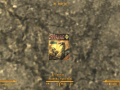 FalloutNV 2012-05-14 20-44-18-78.png